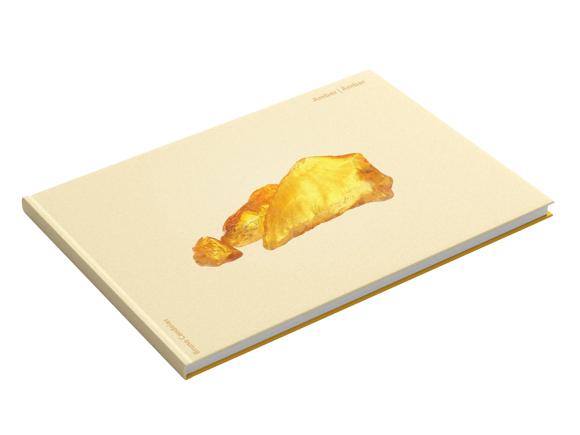 Amber: cover image