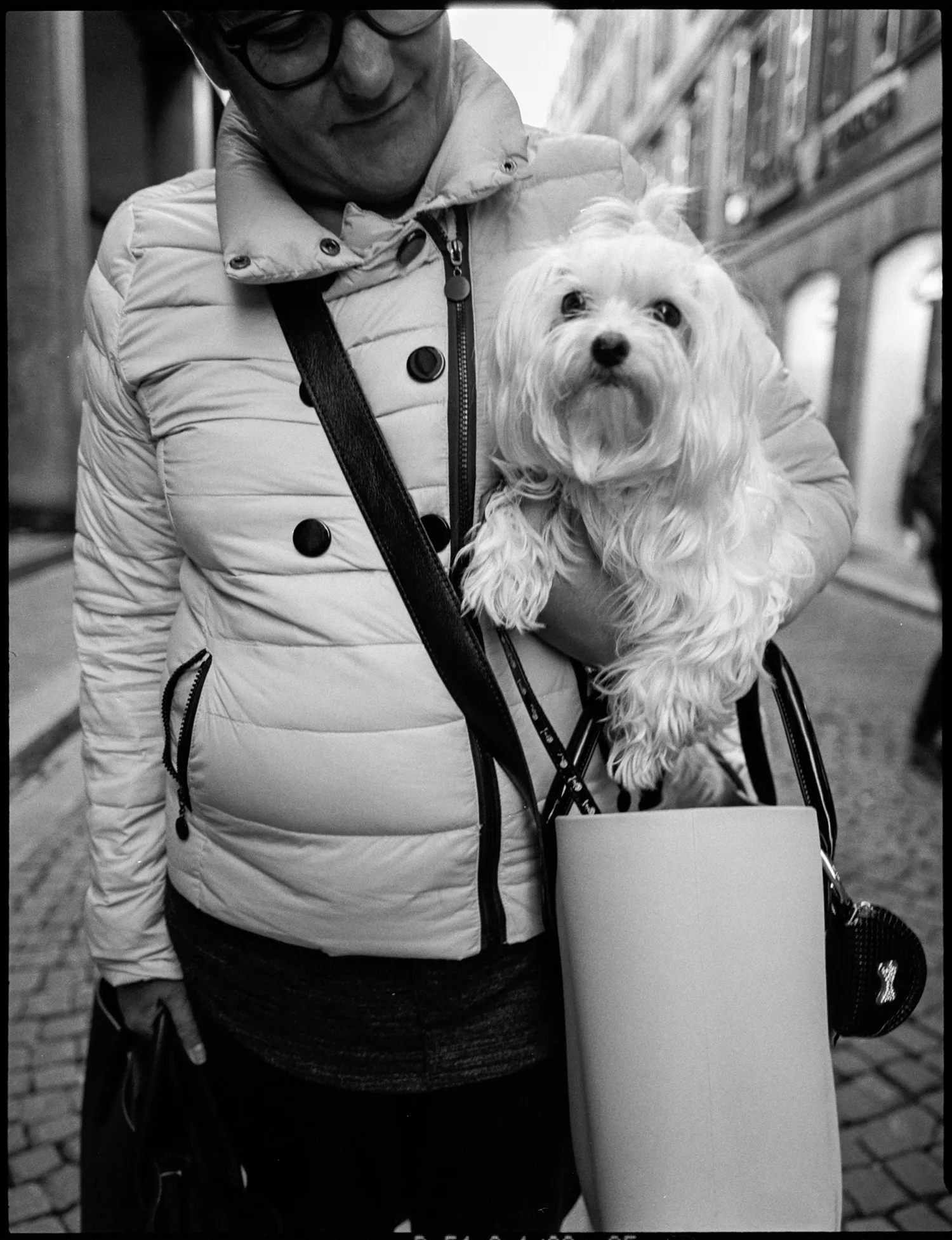 Ciao: image 10 of 24