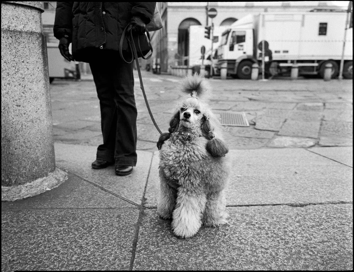 Ciao: image 12 of 24