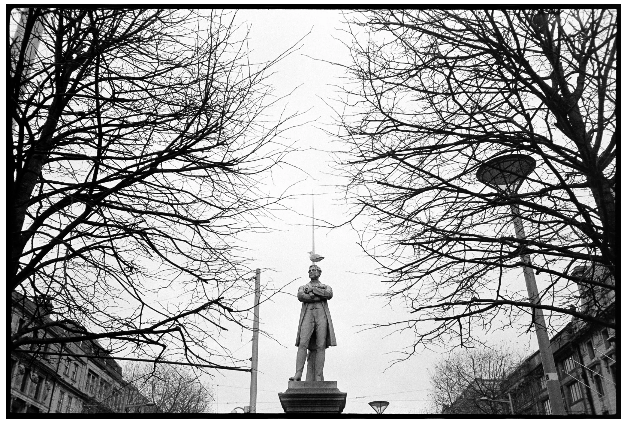 Statue of a man with a seagull perched on his head, framed by bare branches